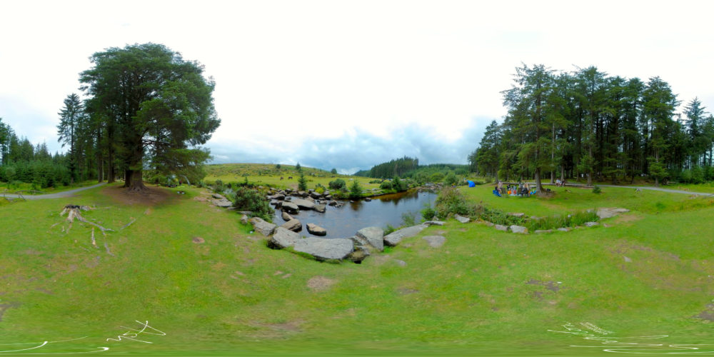 Grass next to a river and trees on Dartmoor