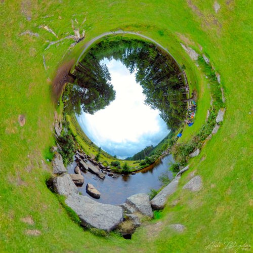 Rock and trees by a river