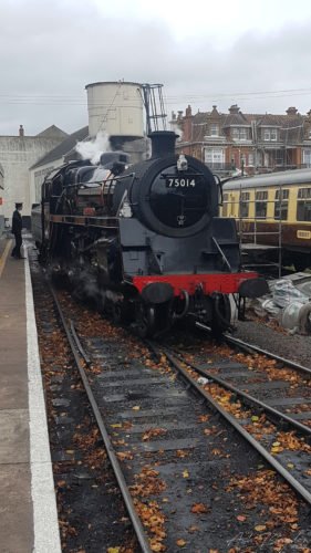 Dartmouth Steam Railway 2019, Paignton