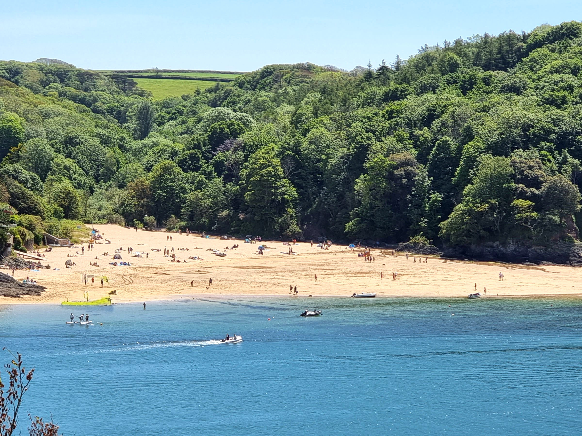 View of Mill Bay Salcombe 2021 2