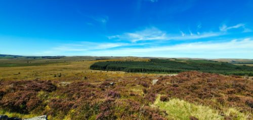 Overlooking moorland, forest and Blue skies