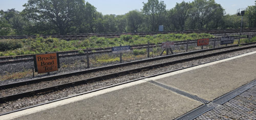 Riverside Station, Littlehempstead 20230527, Rails & Ales Festival (4)