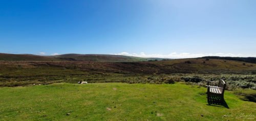 Bench overlooking Moorland with sheep