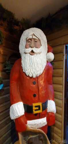 Marldon Christmas Tree Farm