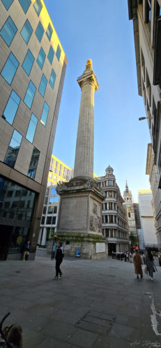 Monument to the Great Fire of London, London 20240218 (69) Monument to the Great Fire of London, London 20240218 (69)