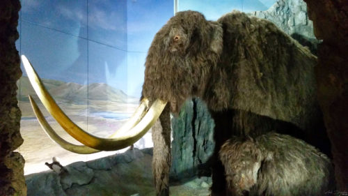 National Museum 20141128, Cardiff, Wales (2) National Museum 20141128, Cardiff, Wales (2)