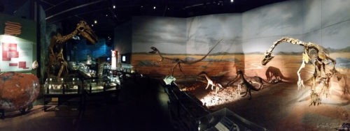 National Museum 20141128, Cardiff, Wales National Museum 20141128, Cardiff, Wales