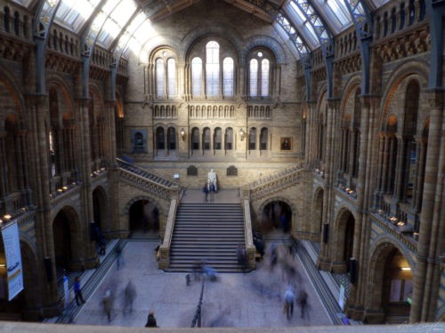 Natural History Museum 2013 London Natural History Museum 2013 London