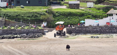 Sea Tractor 20231516, Burgh Island, Bigbury on Sea (3)