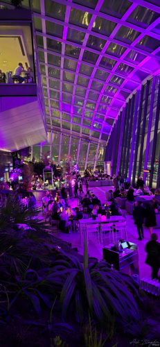 Sky Garden 20240216, London (35) Sky Garden 20240216, London (35)