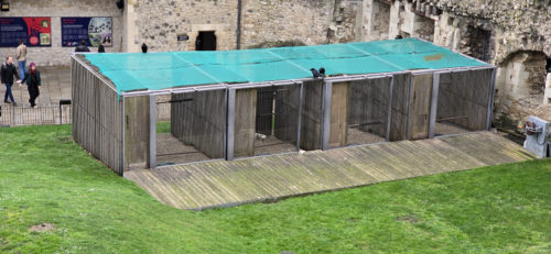 Tower of London 20240217, London (17) Tower of London 20240217, London (17)