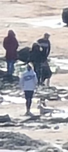 100x zoom Galaxy S20 Ultra 100x zoom