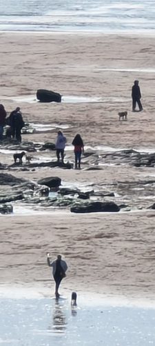 30x zoom Galaxy S20 Ultra 30x zoom