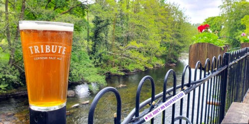The Abbey Inn, Buckfastleigh 2019