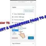 Wordpress Post to Page