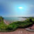 Goodrington Promenade Cliff Gardens 2021 Paignton 2 web
