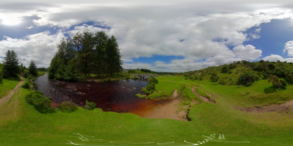 Bellever Forest 2020 4