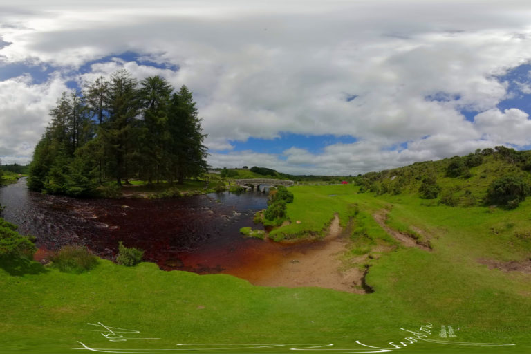 Bellever Forest 2020 4