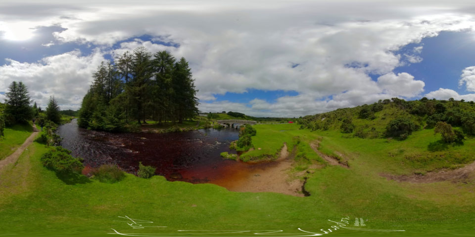 Bellever Forest 2020 4