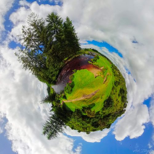 Bellever Forest 2020 Tiny Planet web