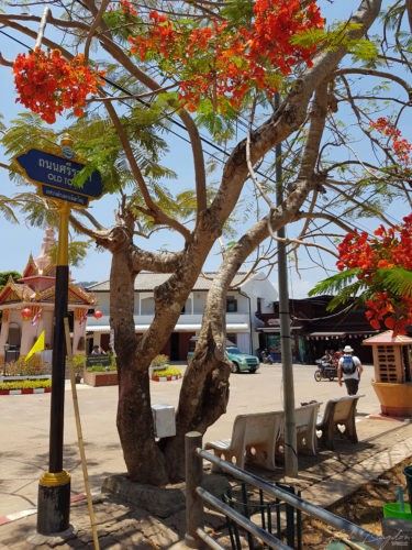 Old Town Koh Lanta 2016 4