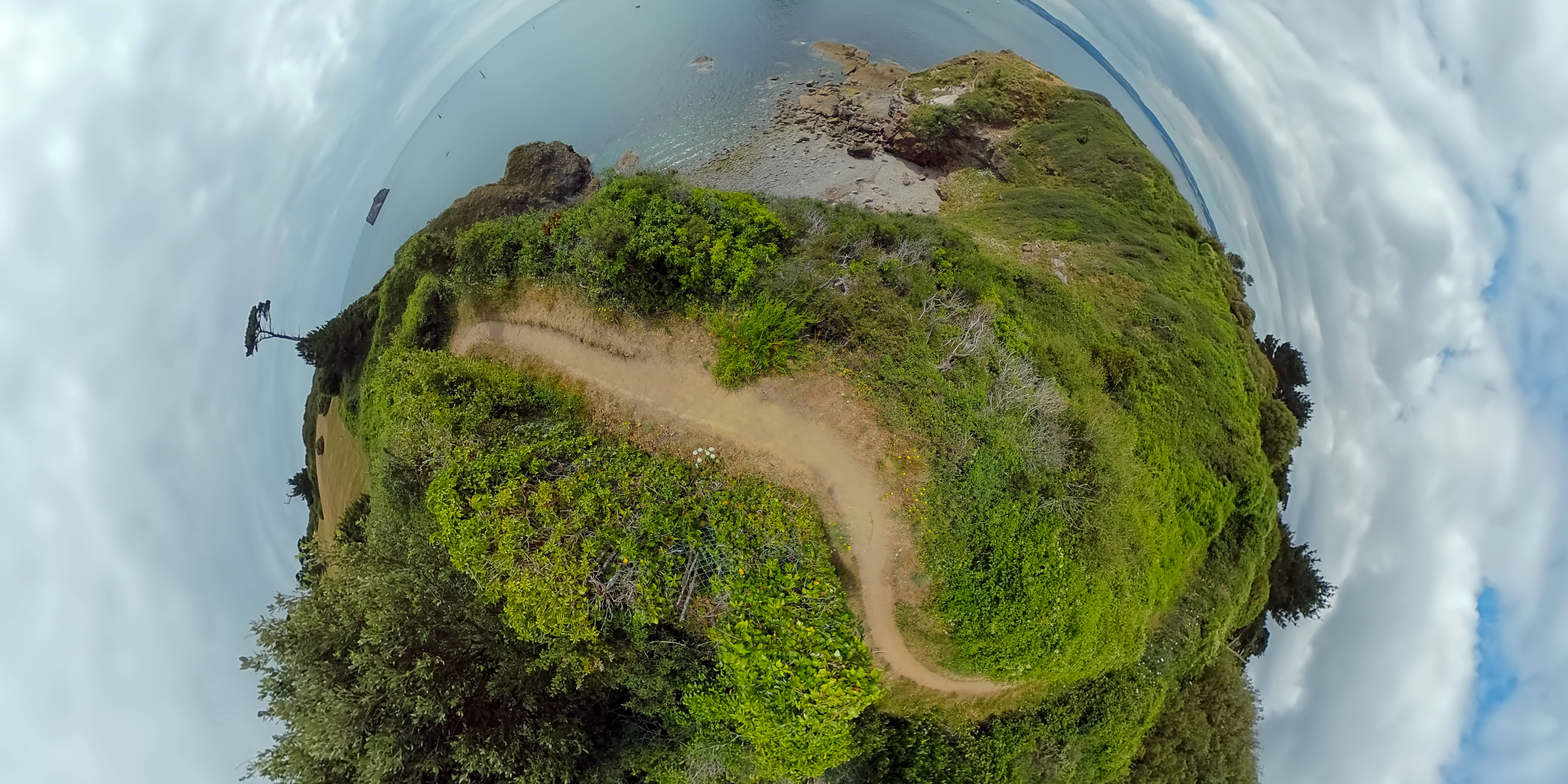 Thatcher Cove 2019 Torquay web