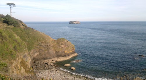 Thatchers Cove 2011 Torquay