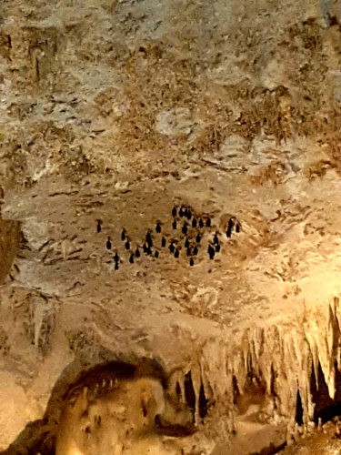 Diamond Cave Railay Ao Nang Thailand 2016 3