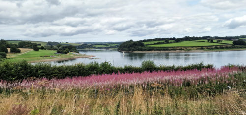 Wimbleball Lake 20240817, Brompton Regis, Somerset (5)