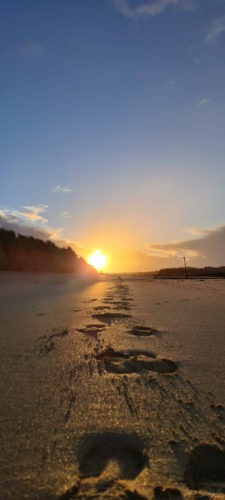 Hayle Estuary Cornwall 2020 1