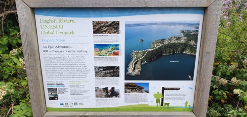 Hopes Nose 2019 Torquay 3