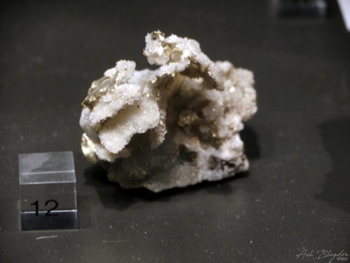 Hopes Nose Gold Torquay National History Museum