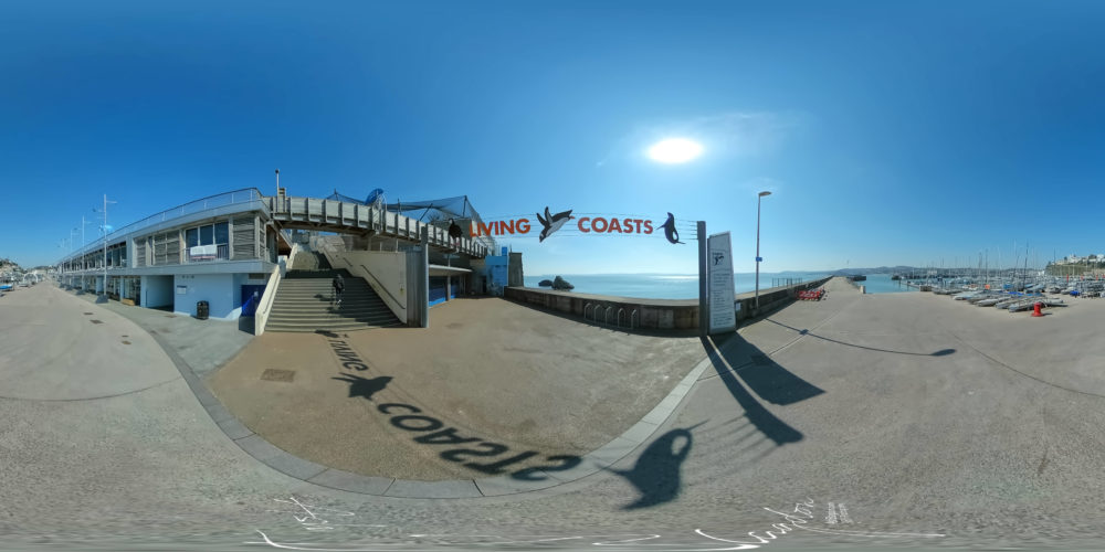 Living Coasts Haldon Pier Torquay 2020 8 web