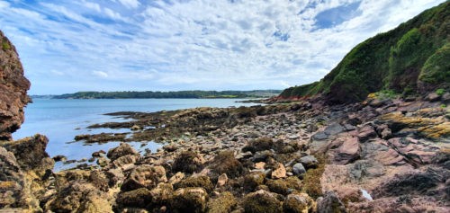 Shell Cove Paignton 2019 2