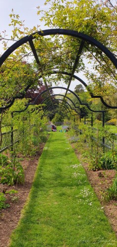 Tessier Gardens 2019 Torquay 4