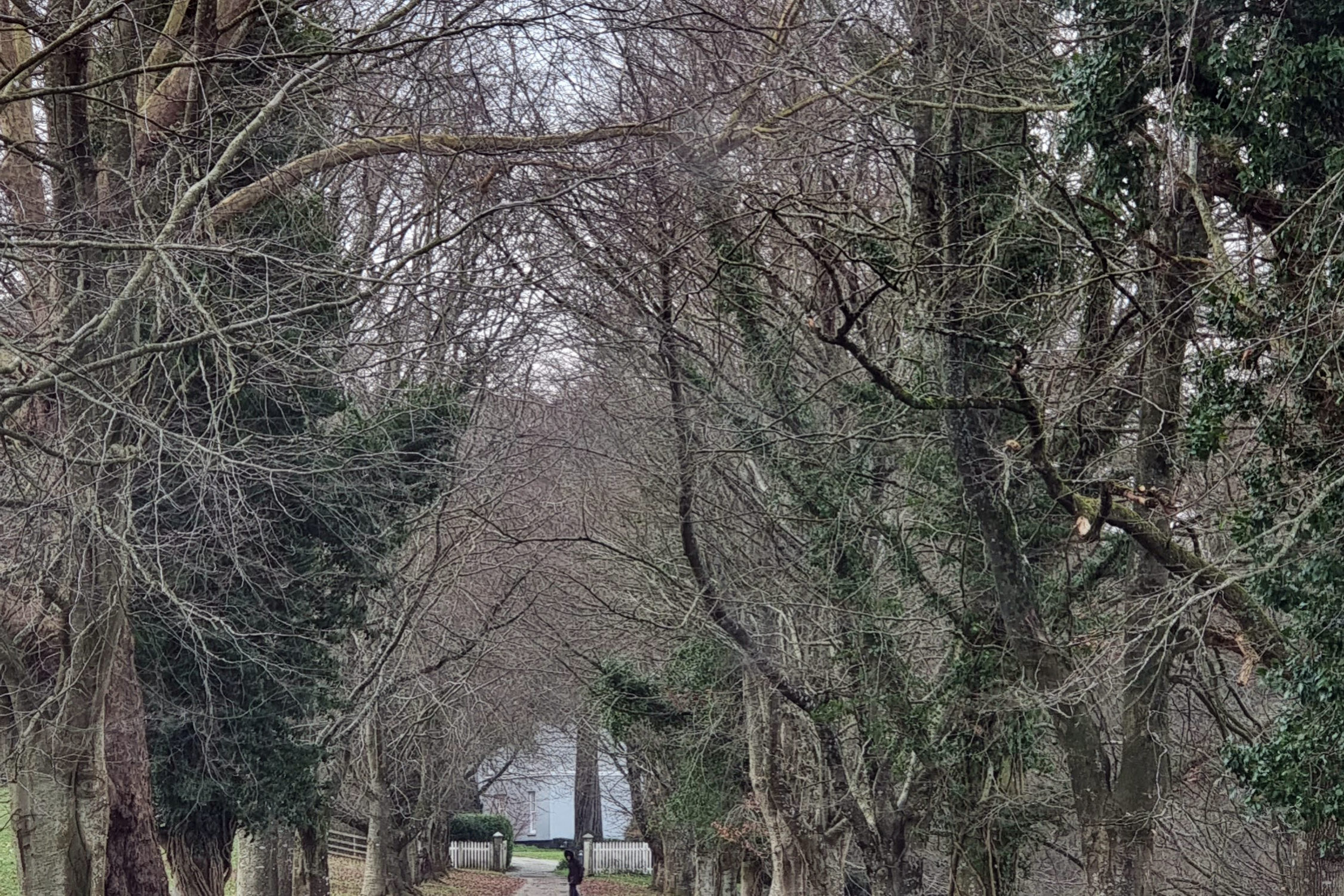 Parke 20212 Bovey Tracey Newton Abbot 1