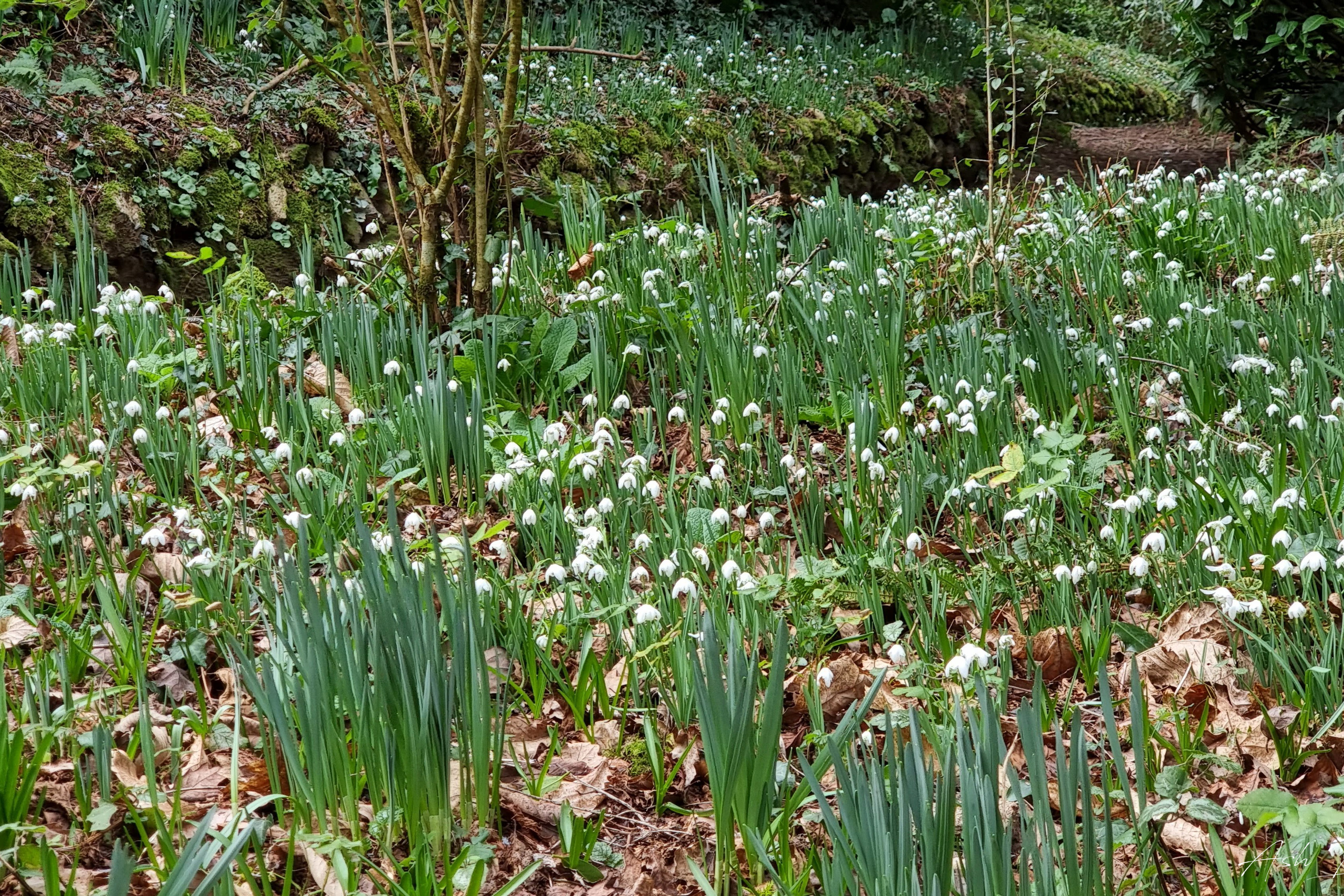 Parke 20212 Bovey Tracey Newton Abbot 2