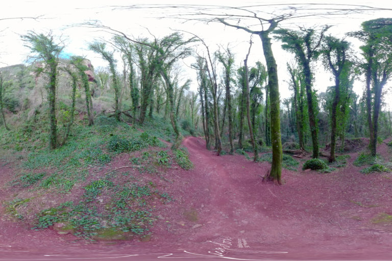 Valley of the Rocks 2021 Torquay 4 web