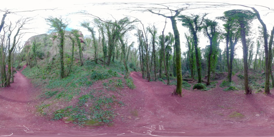 Valley of the Rocks 2021 Torquay 4 web