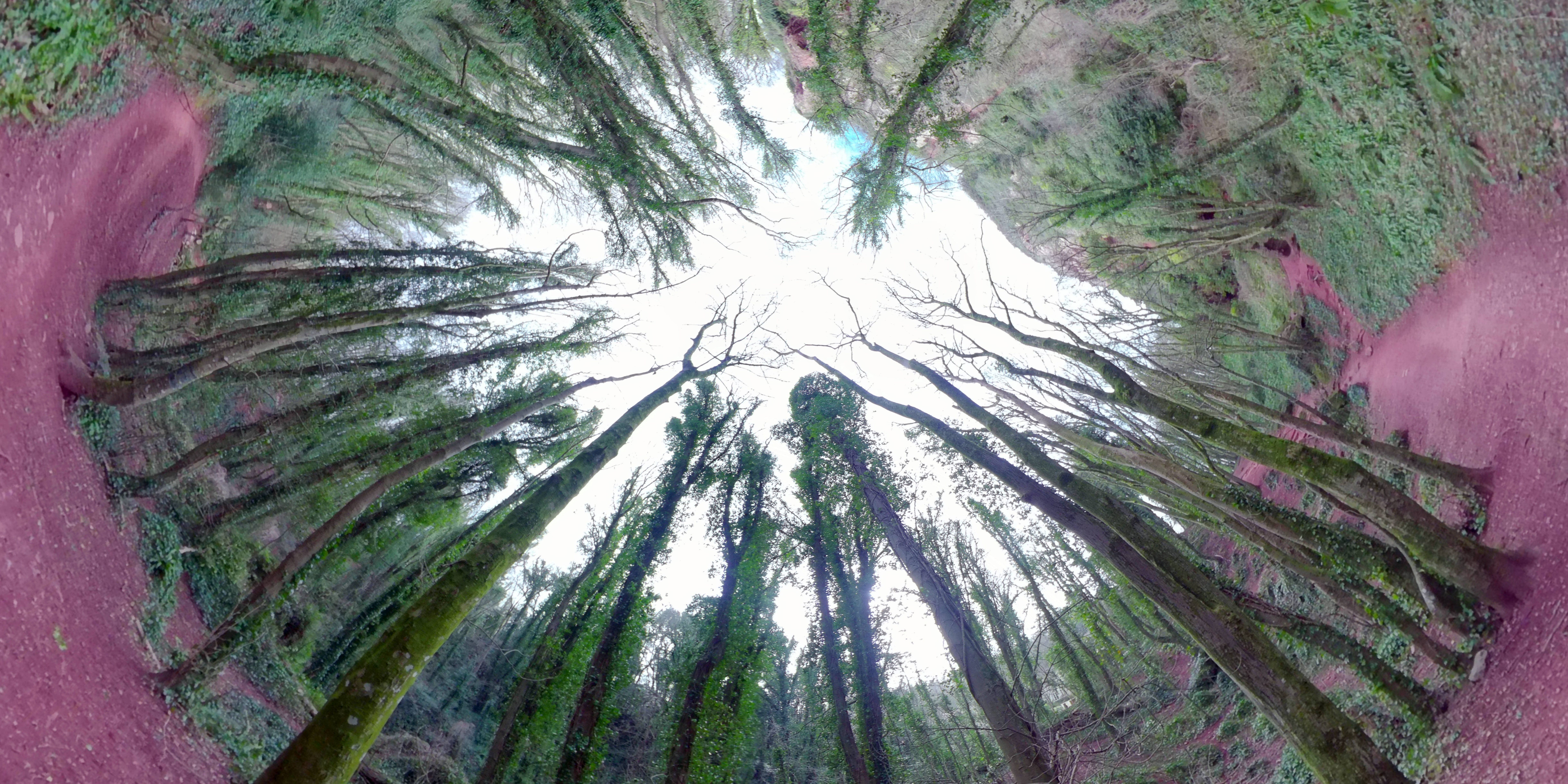 Valley of the Rocks Inverted Planet 2021 Torquay 2 web