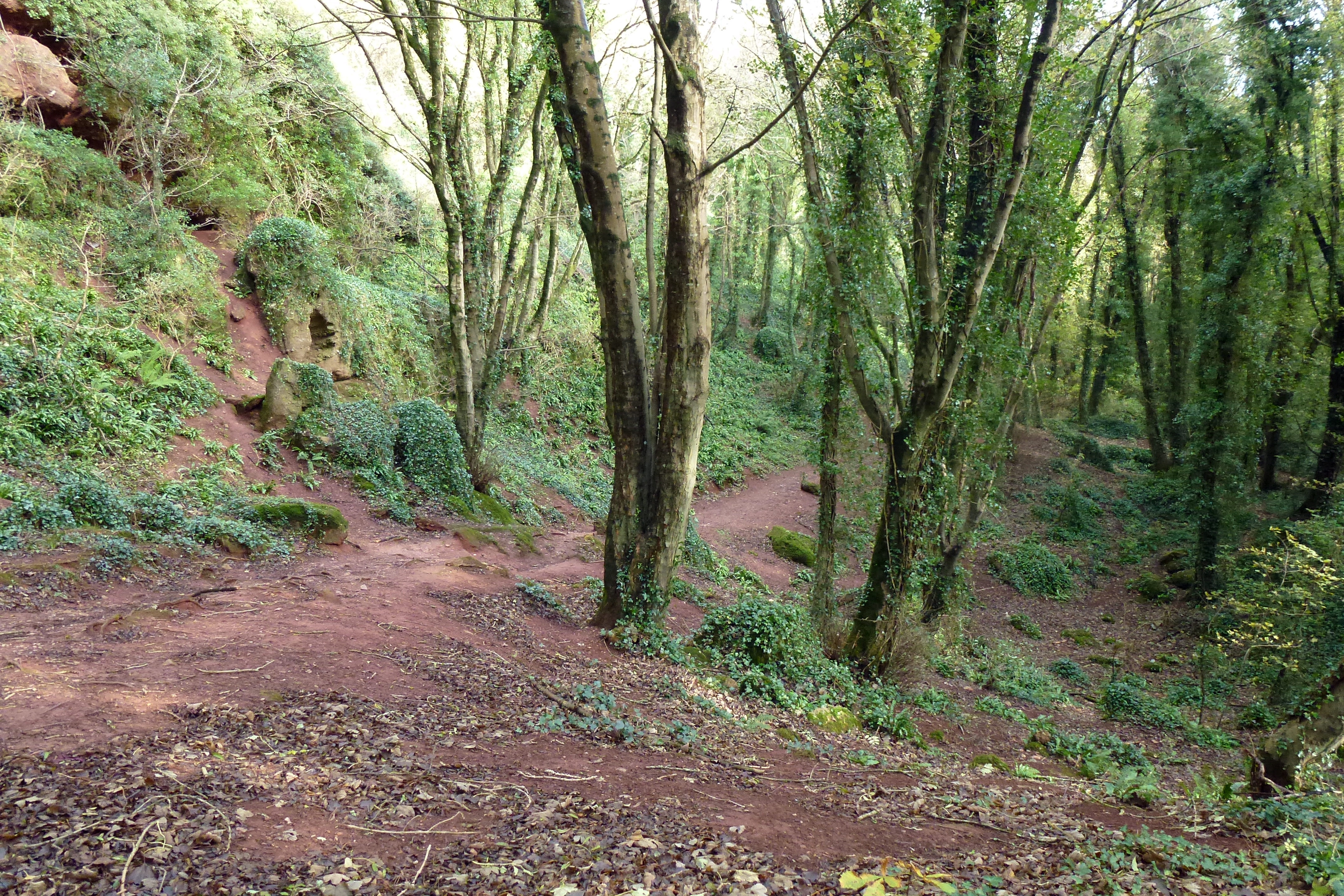Valley of the Rocks Watcombe Torquay 2011 1