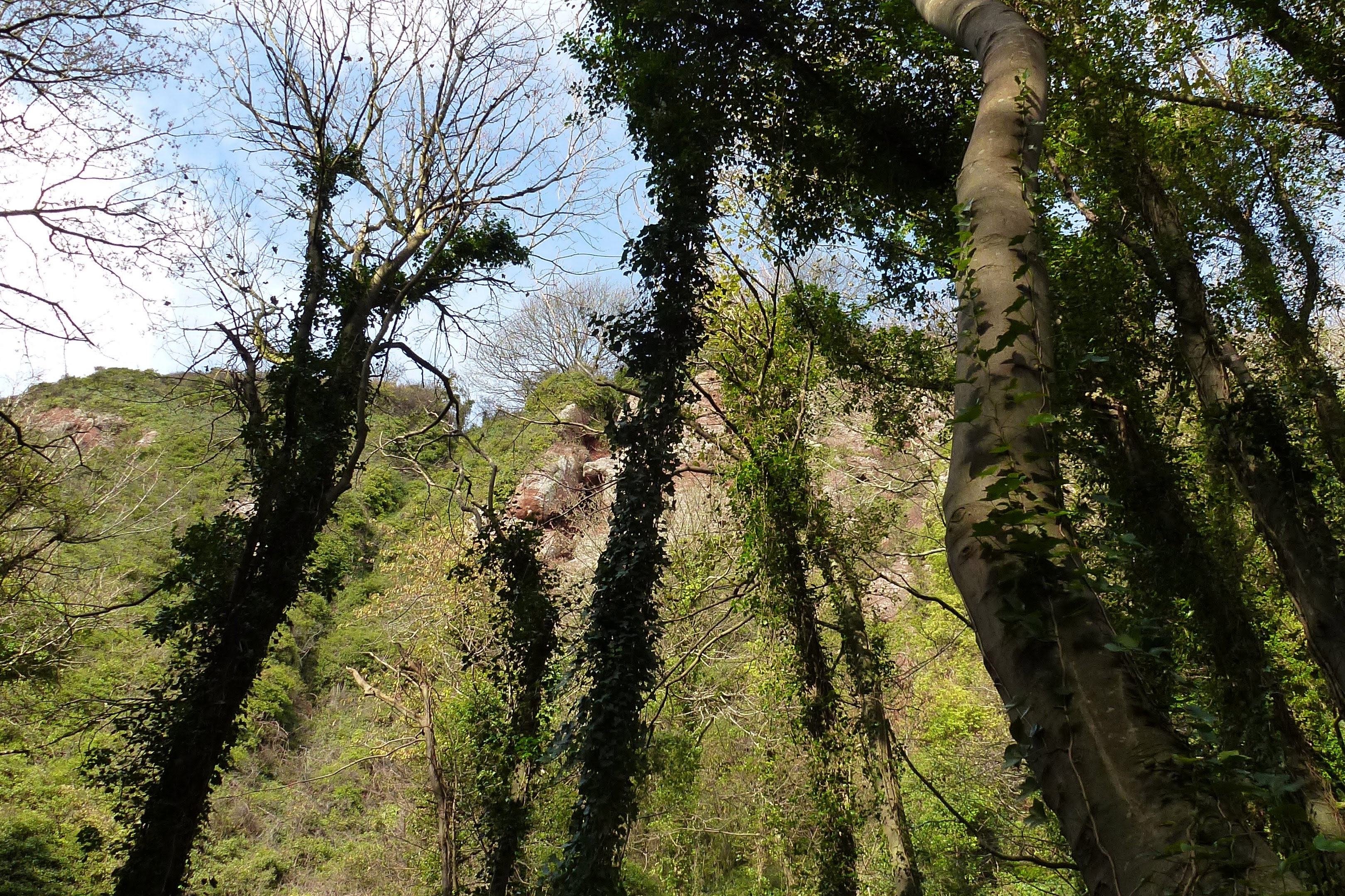 Valley of the Rocks Watcombe Torquay 2011 2