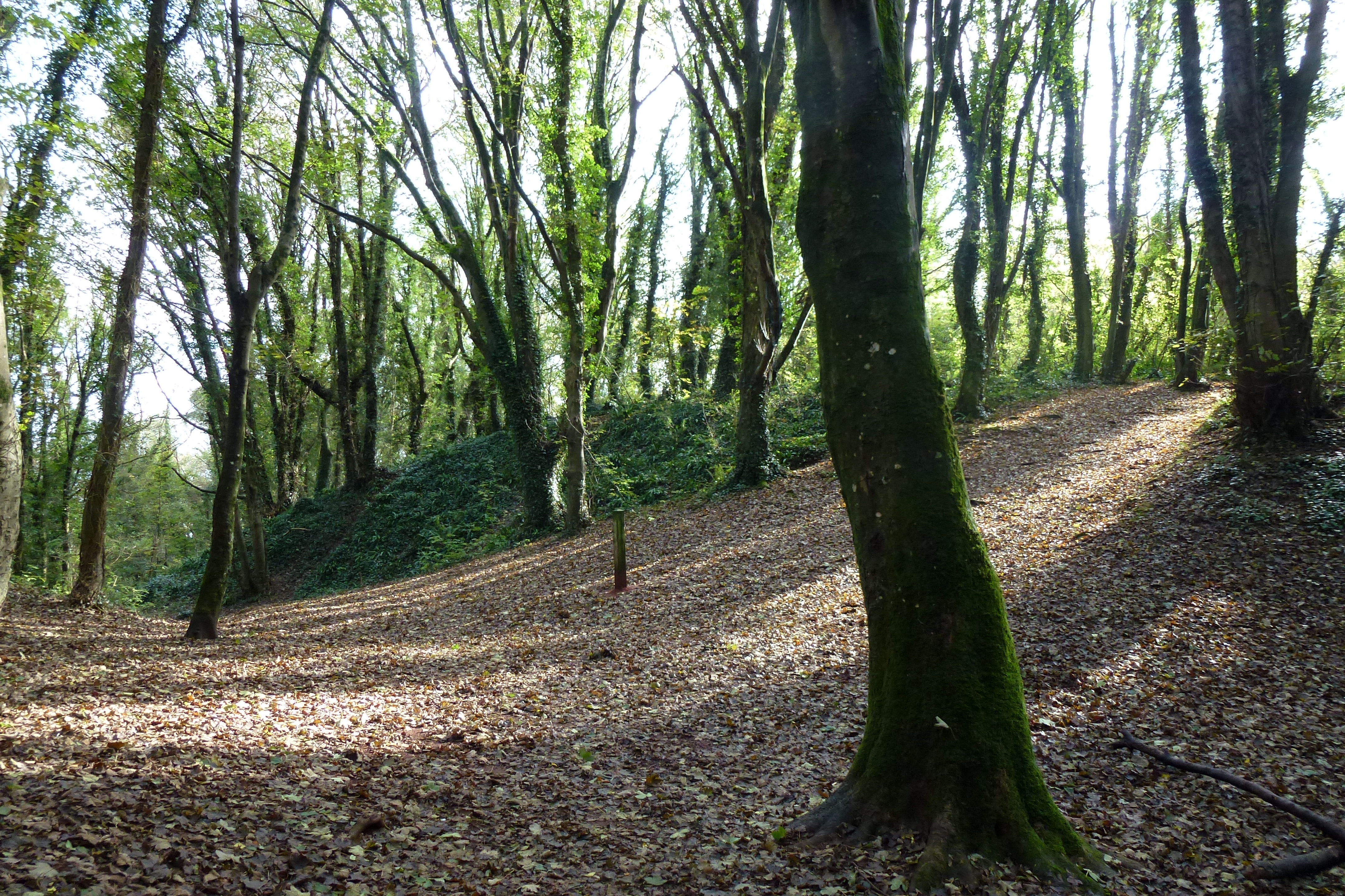 Valley of the Rocks Watcombe Torquay 2011 3