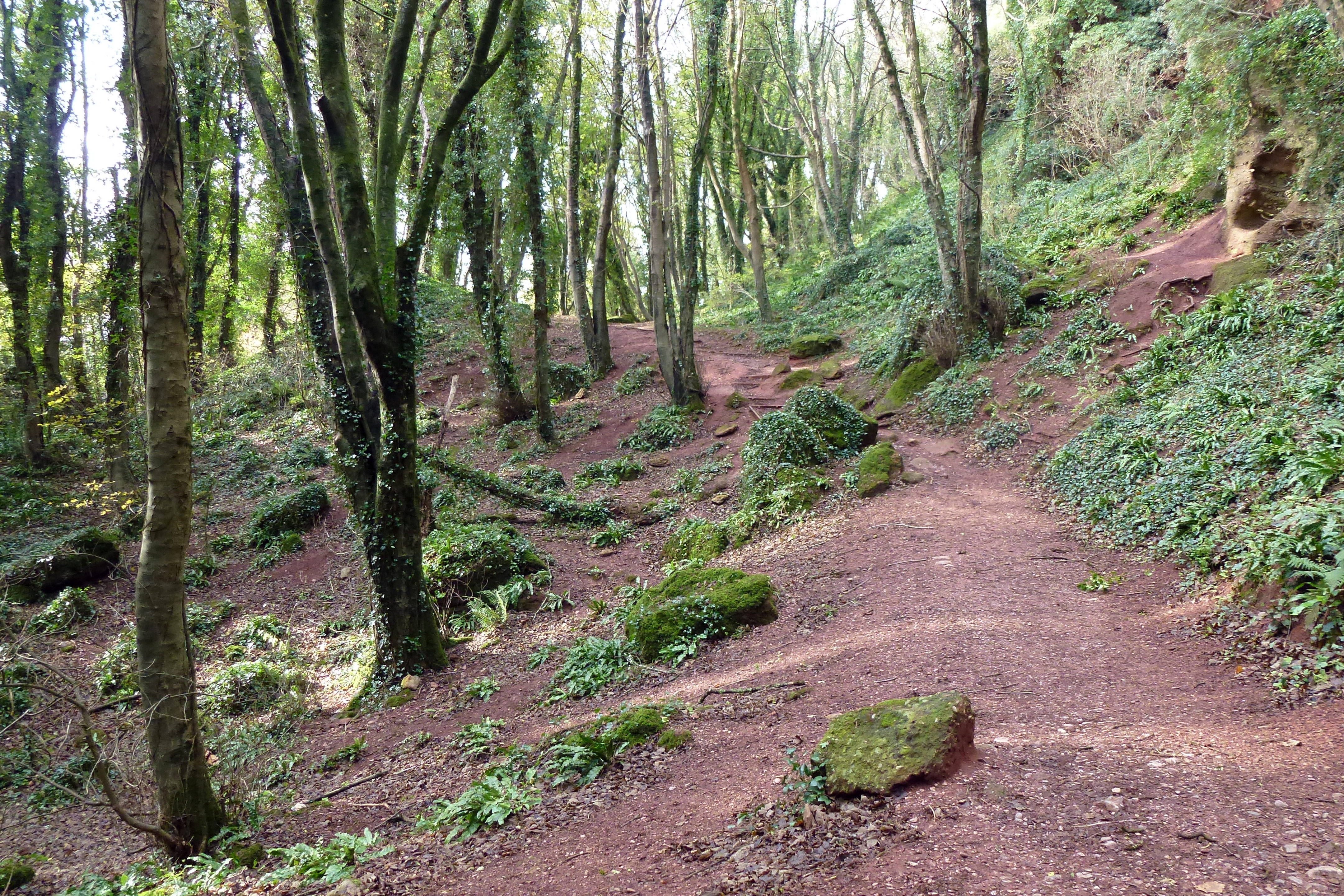 Valley of the Rocks Watcombe Torquay 2011 4