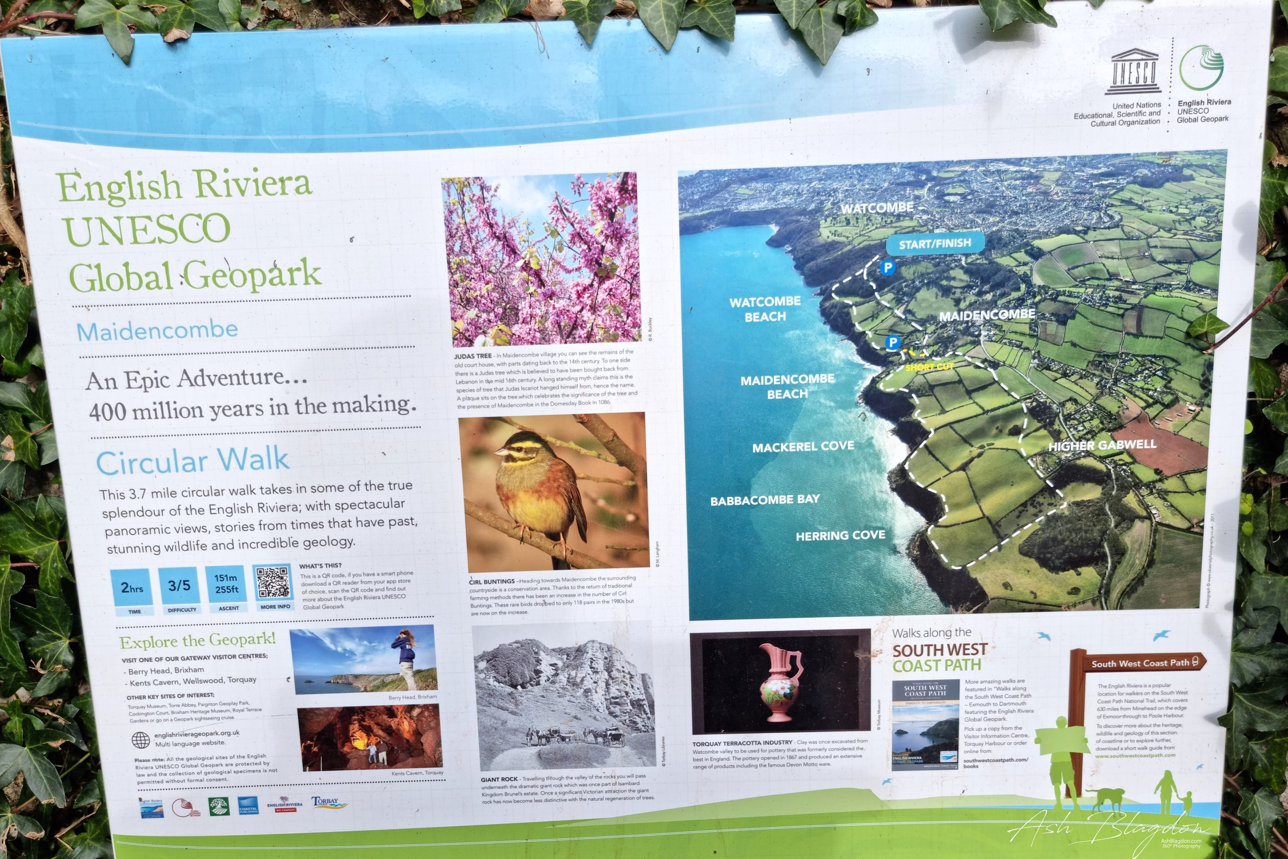 Valley of the Rocks Watcombe Torquay 2021 2