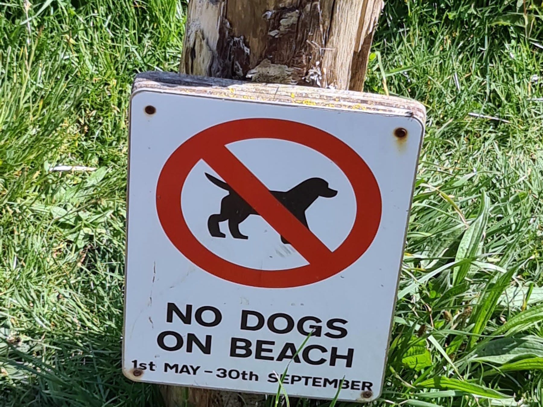 Wembury Beach 2020 3