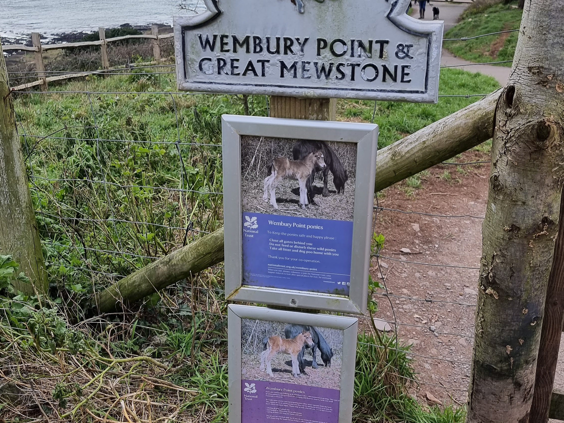 Wembury Point 2021 Plymouth 3 Wembury Point 2021 Plymouth 3