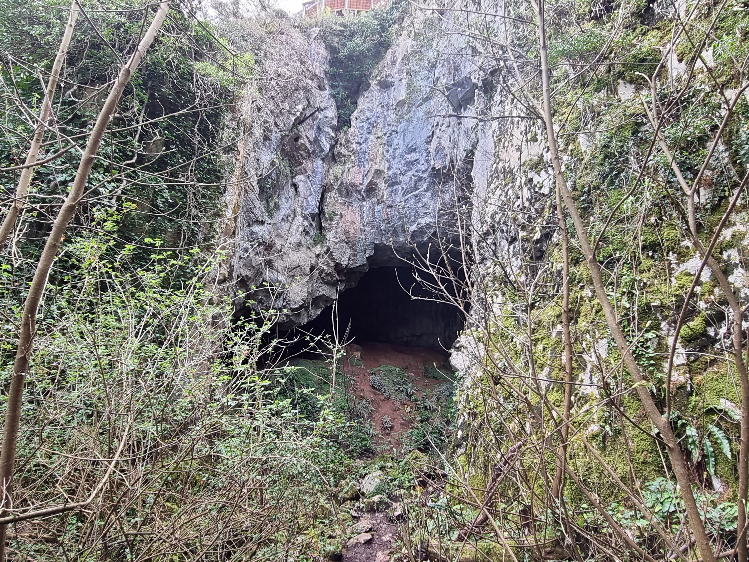 Ash Hole Cavern 2021 Brixham 1