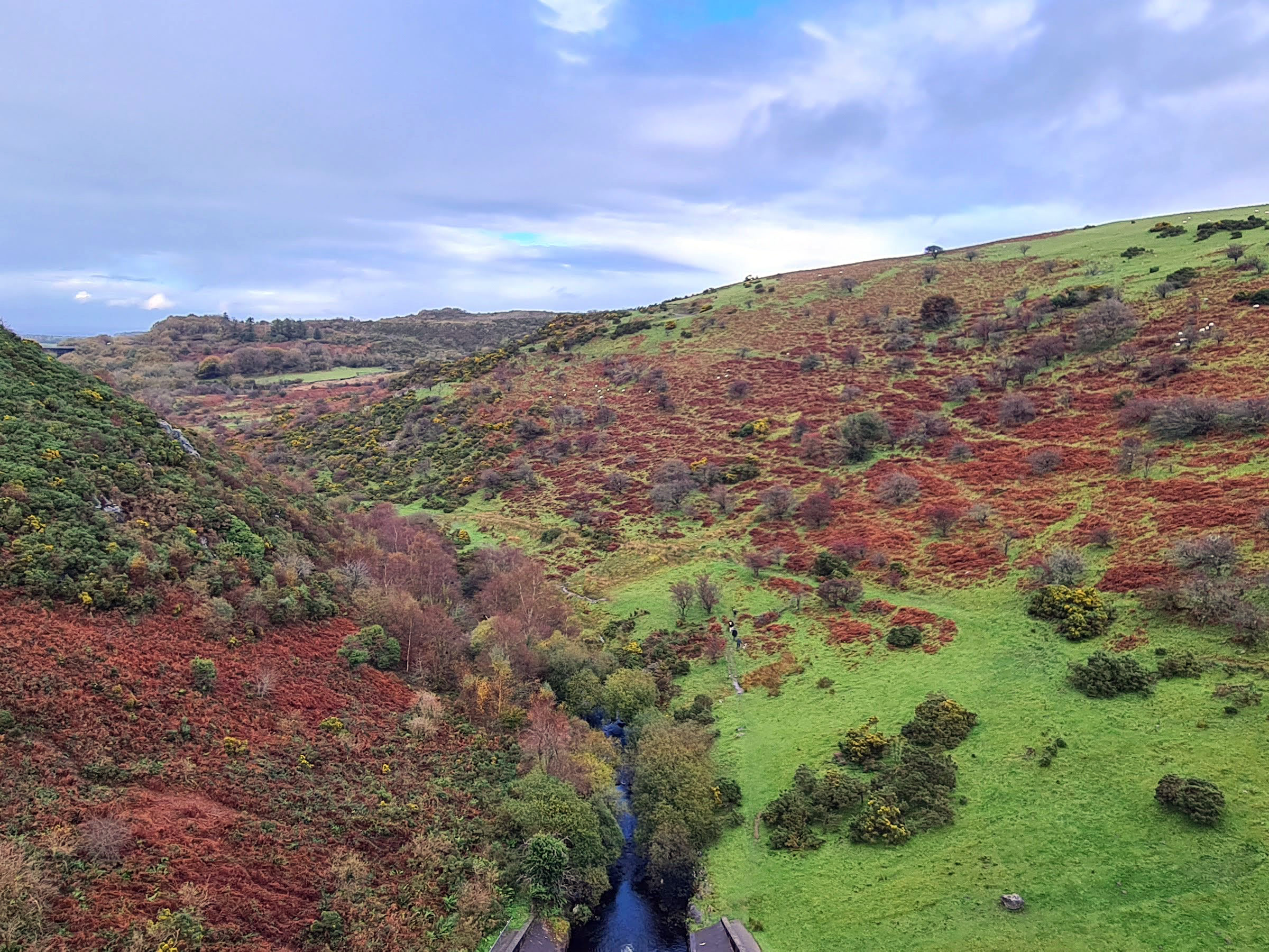 Meldon Reservoir 2020 Okehampton Dartmoor 3