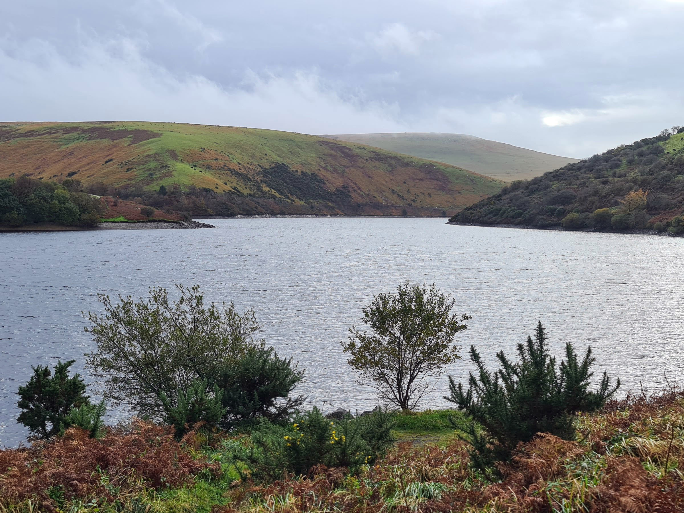 Meldon Reservoir 2020 Okehampton Dartmoor 6